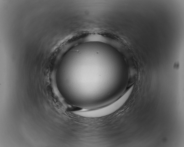 X0000115271205200911201721