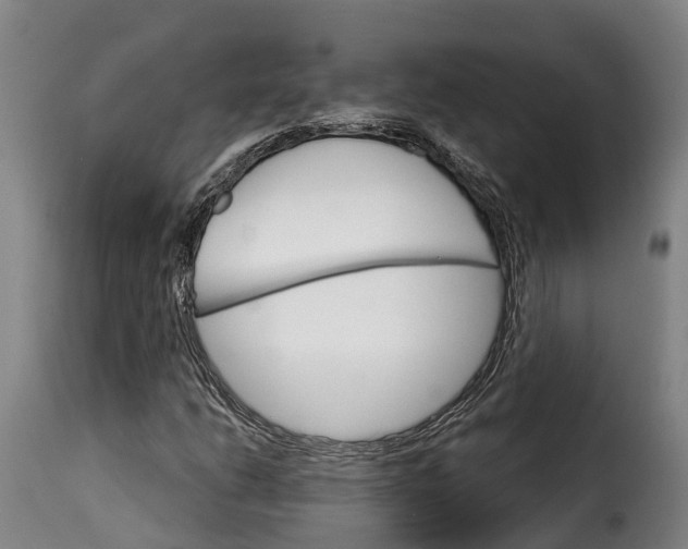 X0000115271206200911201721