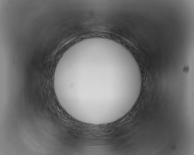 X0000115271207200911201721