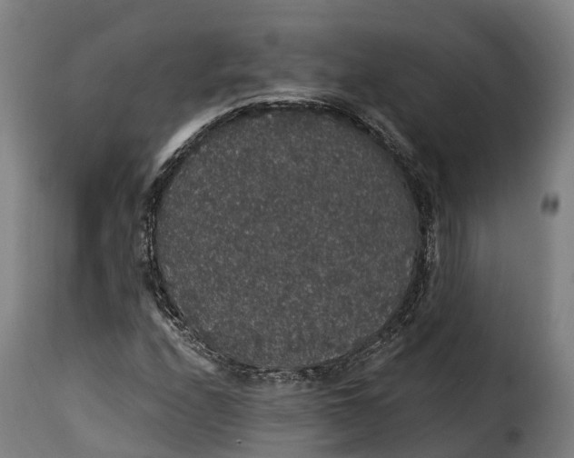 X0000115271208200911201721