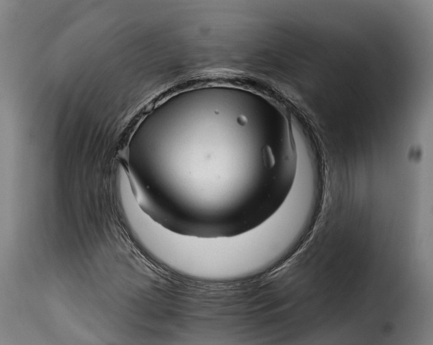 X0000115271209200911201721