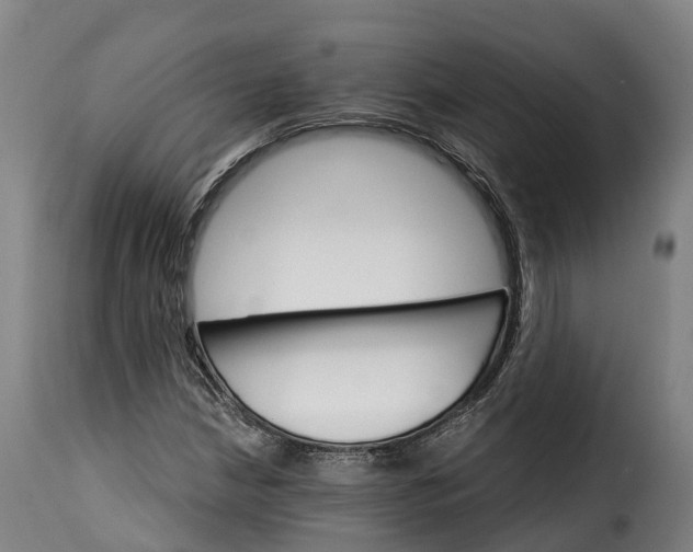 X0000115271210200911201721