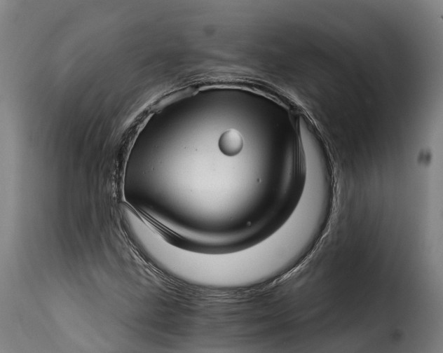 X0000115271211200911201721