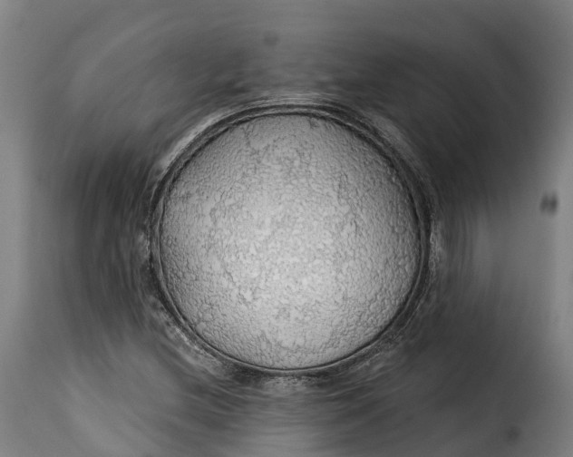 X0000115271212200911201721