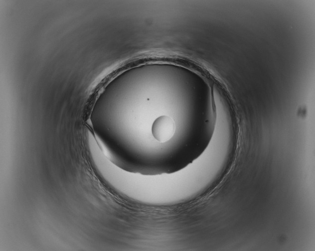X0000115271213200911201721