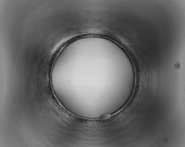 X0000115271214200911201721