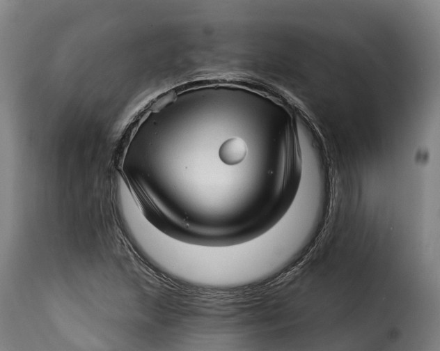 X0000115271215200911201721