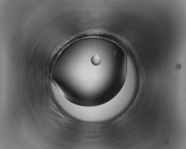 X0000115271217200911201721