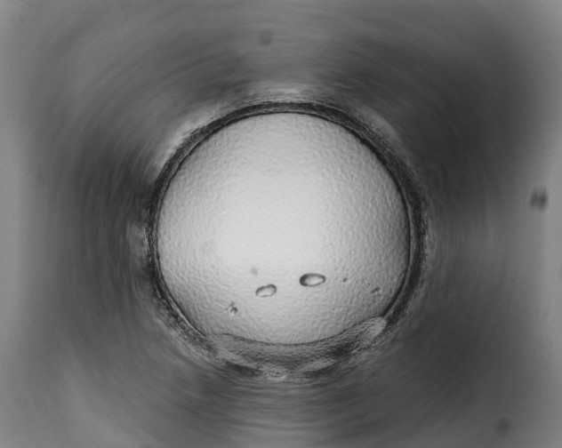 X0000115271218200911201721