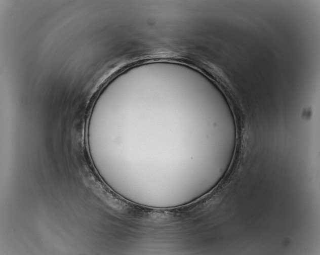 X0000115271220200911201721