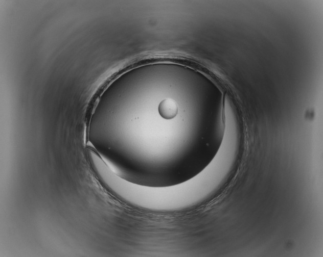X0000115271221200911201721