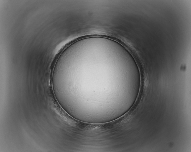 X0000115271222200911201721