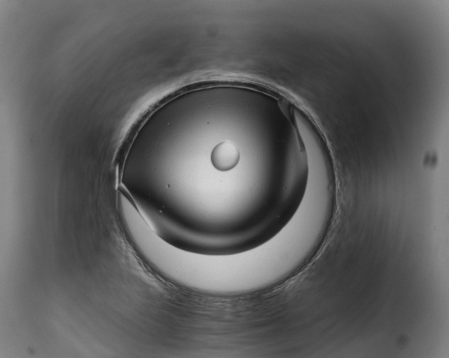 X0000115271223200911201721