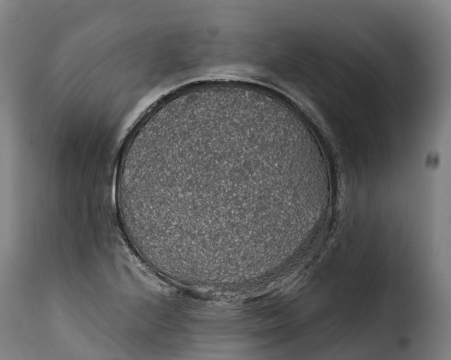 X0000115271224200911201721