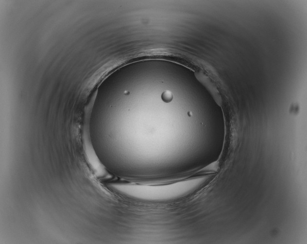 X0000115271225200911201721