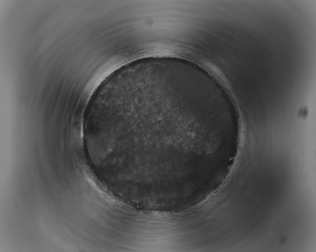 X0000115271226200911201721