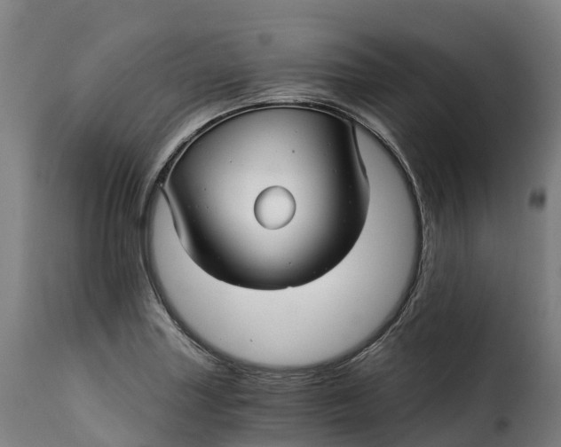 X0000115271227200911201721