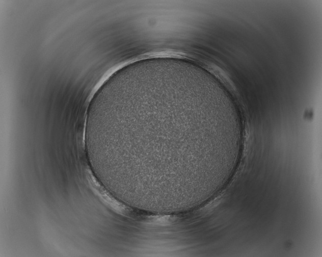 X0000115271228200911201721