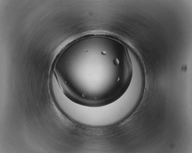 X0000115271229200911201721
