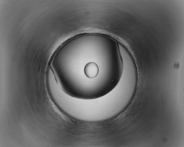 X0000115271231200911201721
