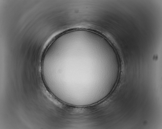 X0000115271232200911201721