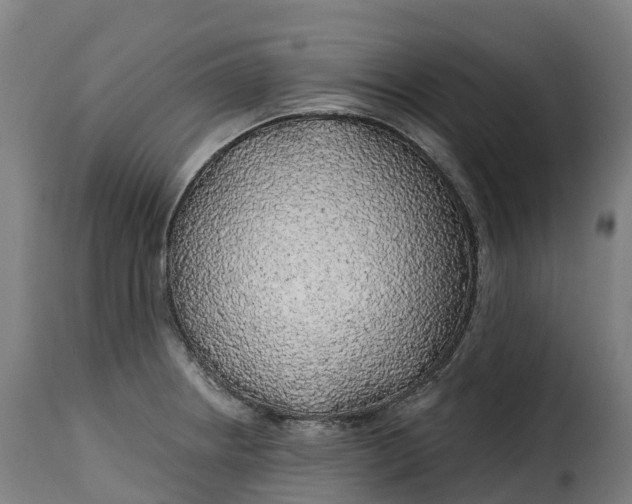 X0000115271234200911201721