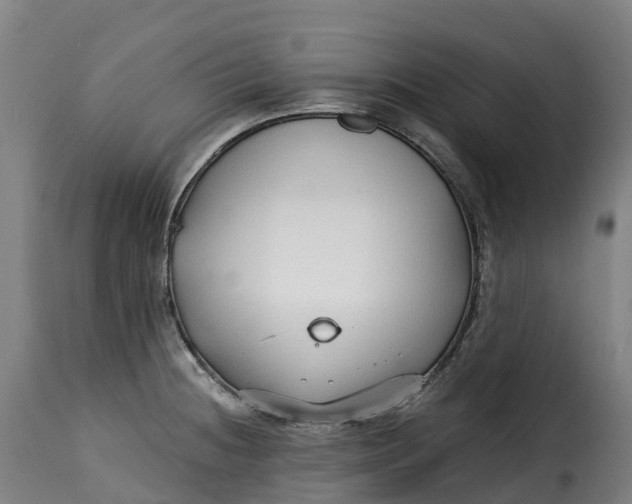 X0000115271236200911201721