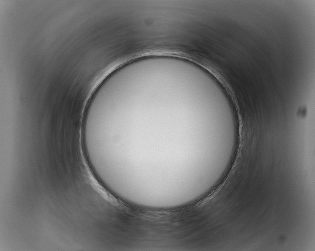 X0000115271237200911201721