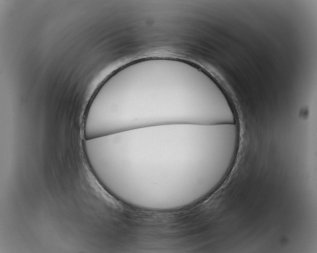X0000115271238200911201721