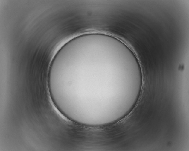 X0000115271239200911201721