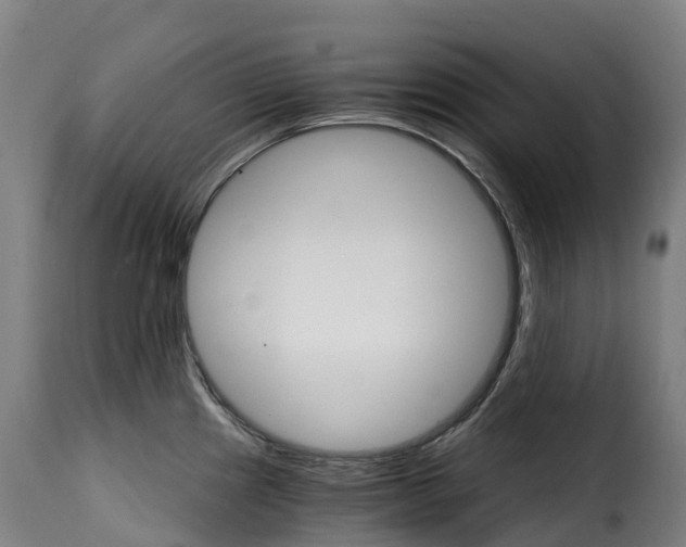X0000115271241200911201721