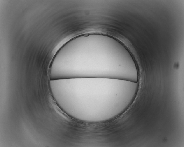 X0000115271242200911201721