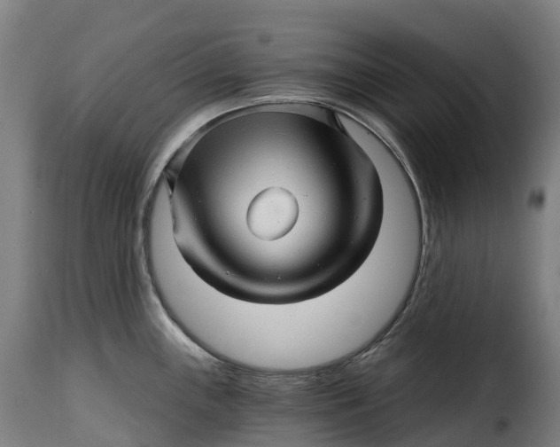 X0000115271243200911201721