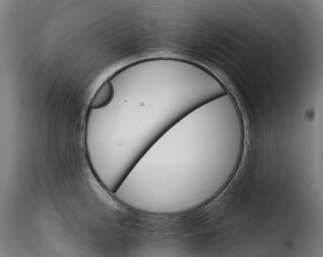X0000115271246200911201721