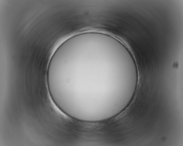 X0000115271247200911201721