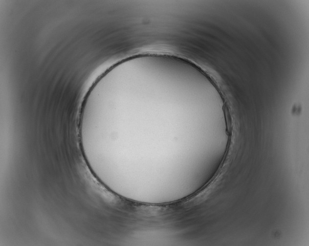X0000115271248200911201721