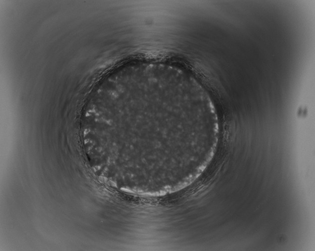 X0000115271249200911201721