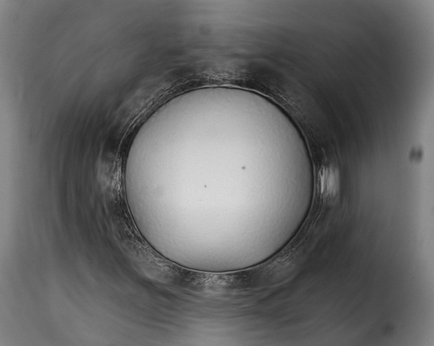 X0000115271251200911201721