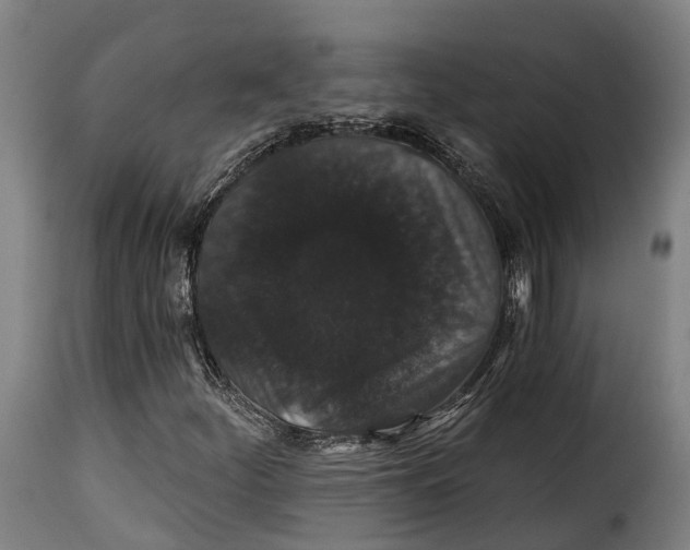 X0000115271252200911201721