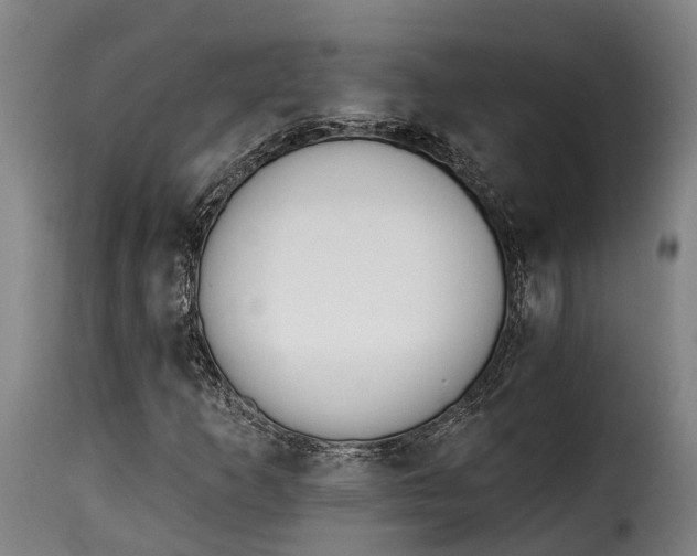 X0000115271253200911201721