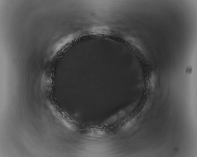X0000115271254200911201721