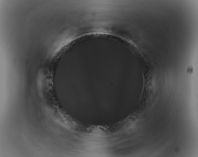 X0000115271255200911201721