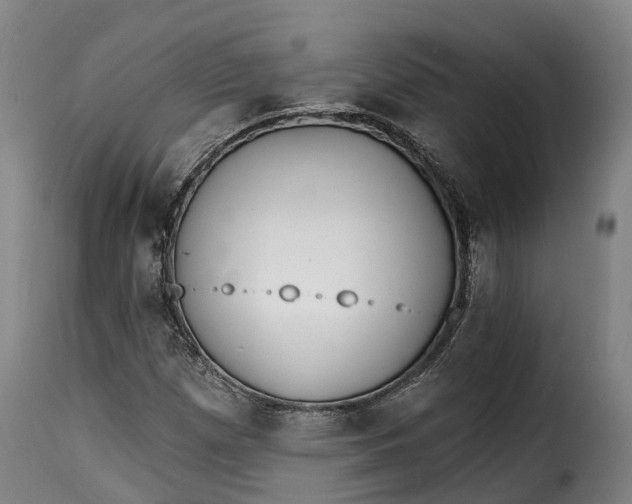 X0000115271257200911201721
