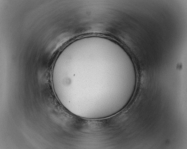 X0000115271258200911201721