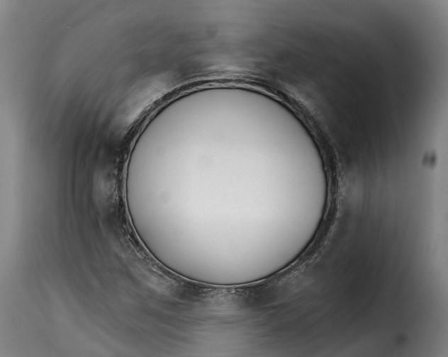 X0000115271259200911201720