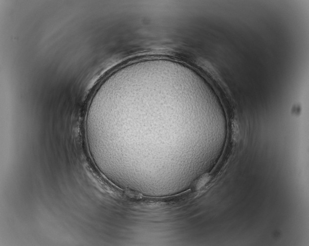 X0000115271260200911201720