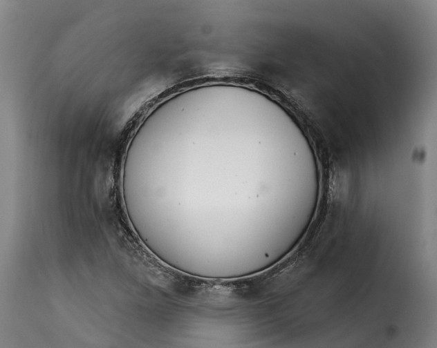 X0000115271261200911201720