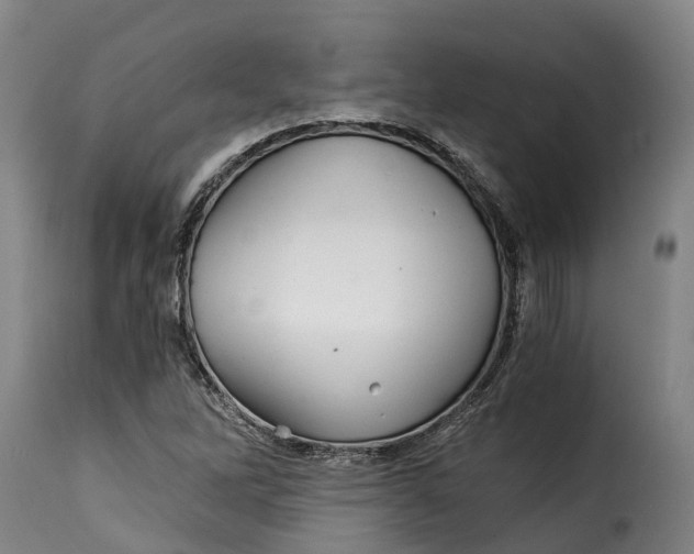 X0000115271262200911201720