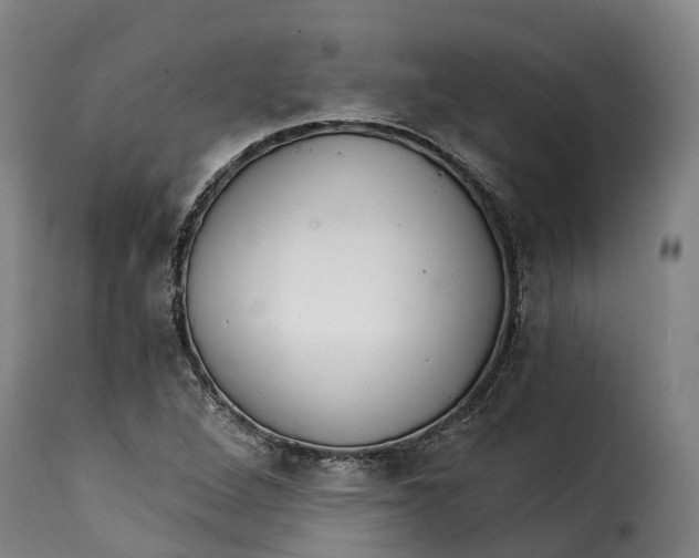 X0000115271264200911201720