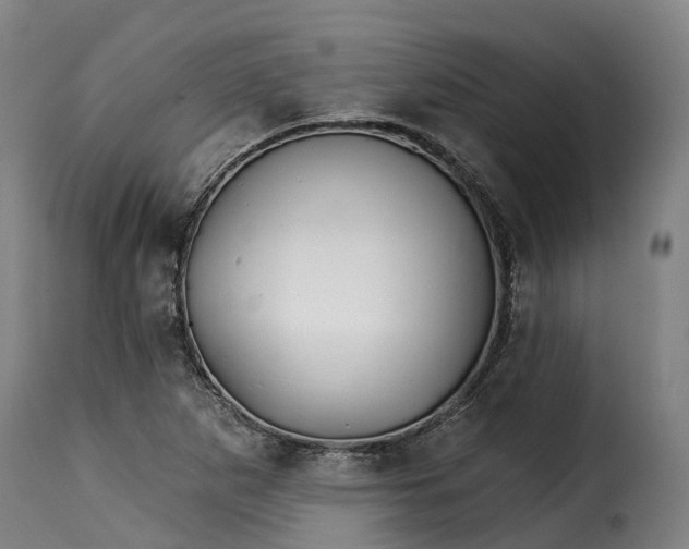 X0000115271265200911201720